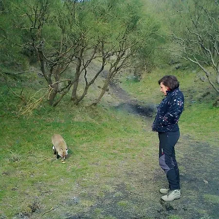 Etna Glob&b Skialp 3* Zafferana Etnea