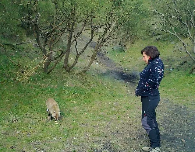 Etna Glob&b Skialp 3* Zafferana Etnea